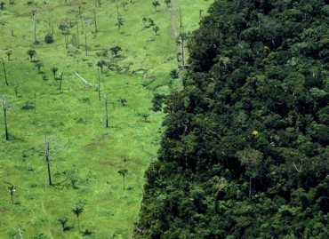 déforestation Brésil.jpg