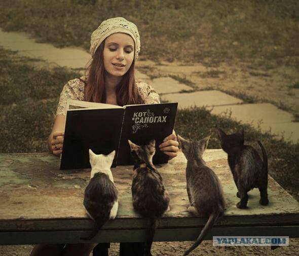chats lecture