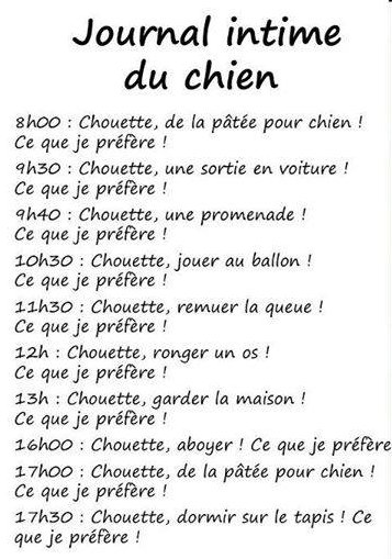 journal chien