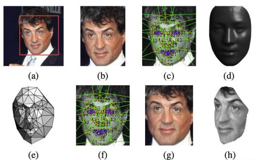 stallone reco faciale