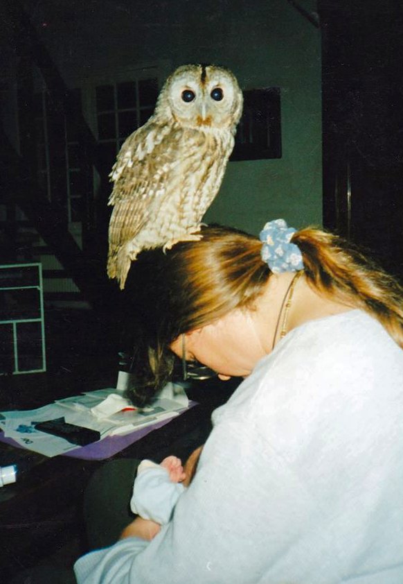 nadine chouette en vrai