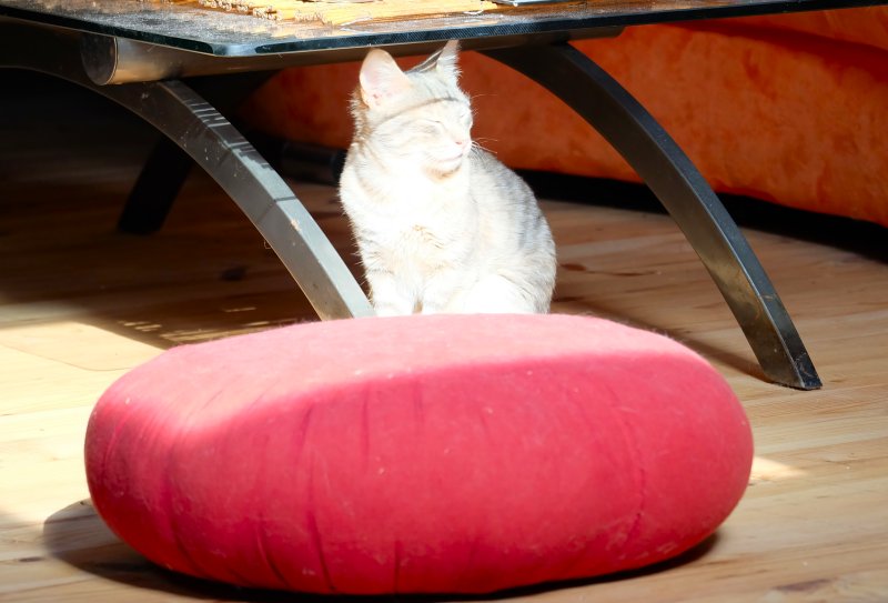 Dscf1111b -Bain de soleil