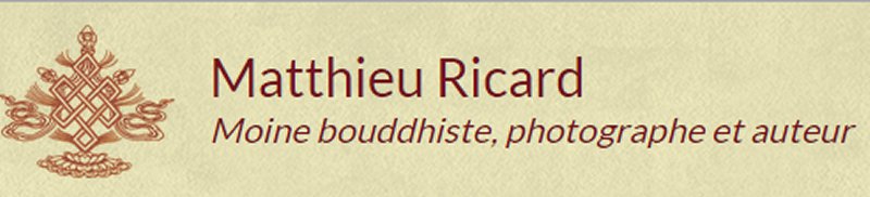 M ricard blog