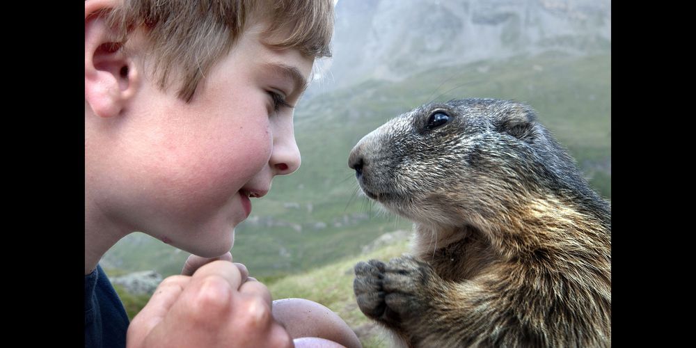 Matteo-11-ans-a-ete-adopte-par-un-groupe-de-marmottes (1)