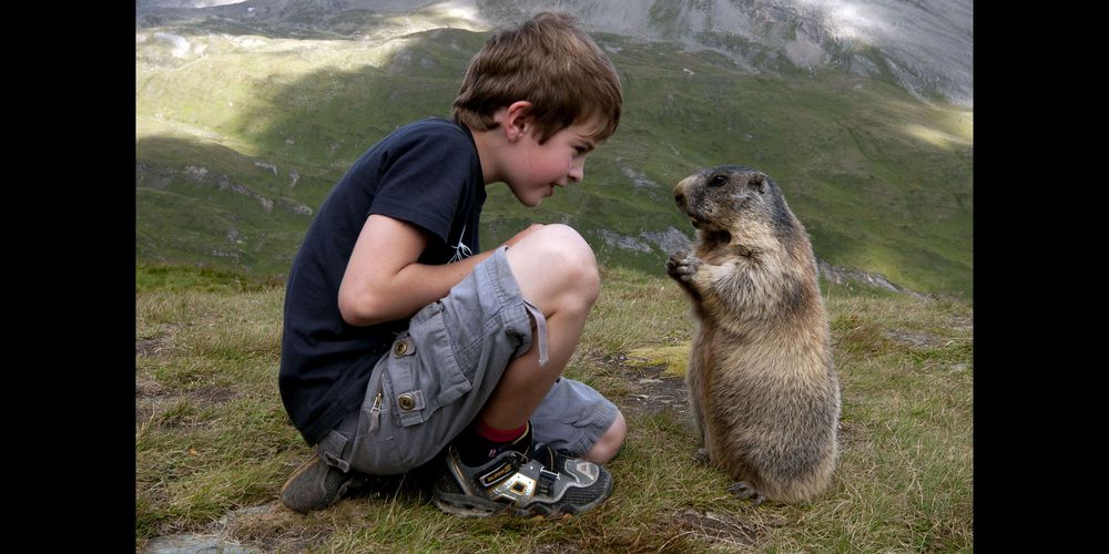 Matteo-11-ans-a-ete-adopte-par-un-groupe-de-marmottes (3)