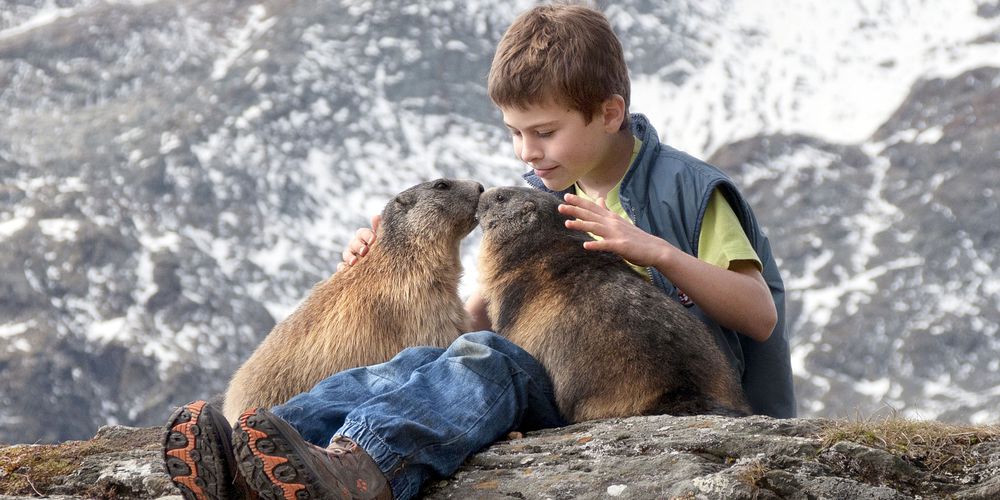 Matteo-11-ans-a-ete-adopte-par-un-groupe-de-marmottes (5)