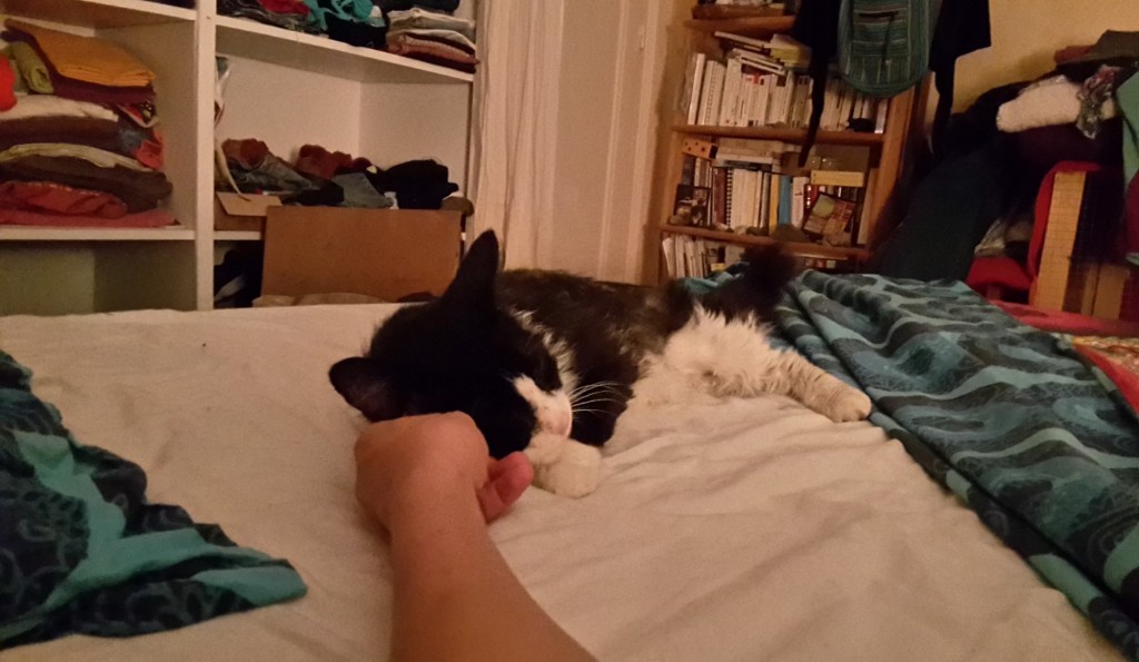 20150606_004934-1024x595