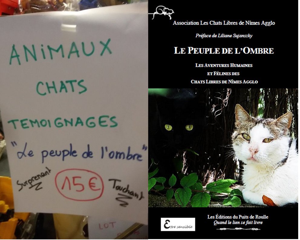 CL LPDLO Christine montage