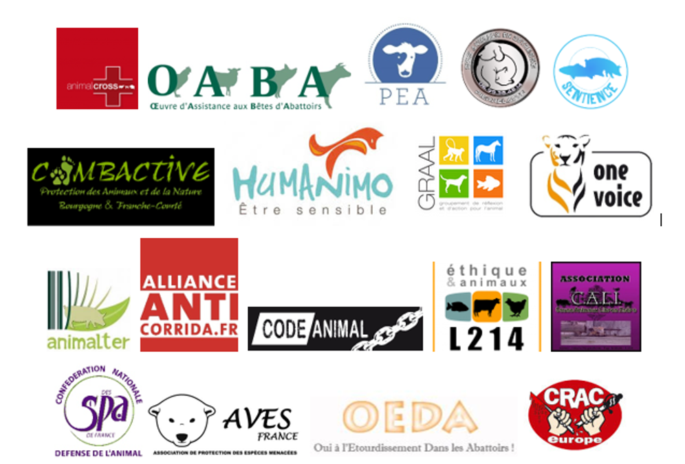 logosassos-trophée betes noires