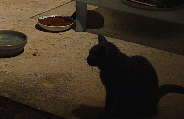 DSC08357p