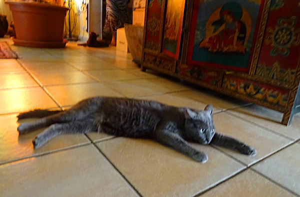 DSC08426p