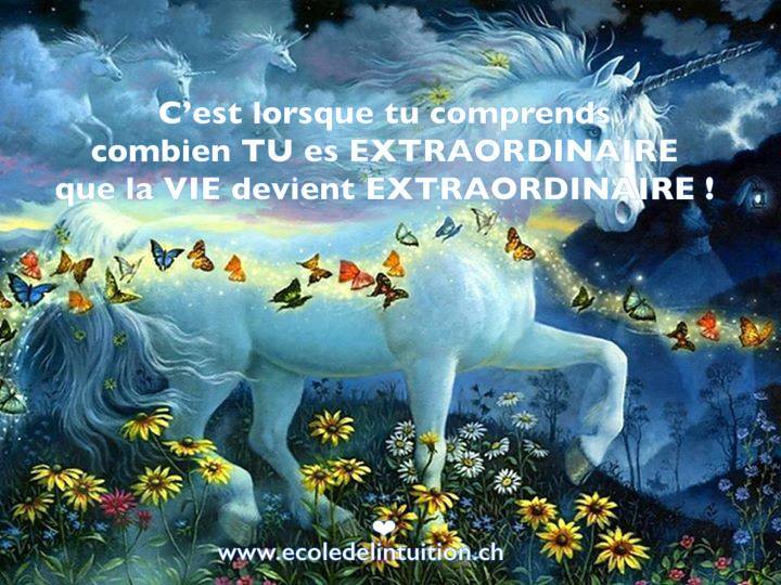 18951182_782828391886595_5744281630001778836_n